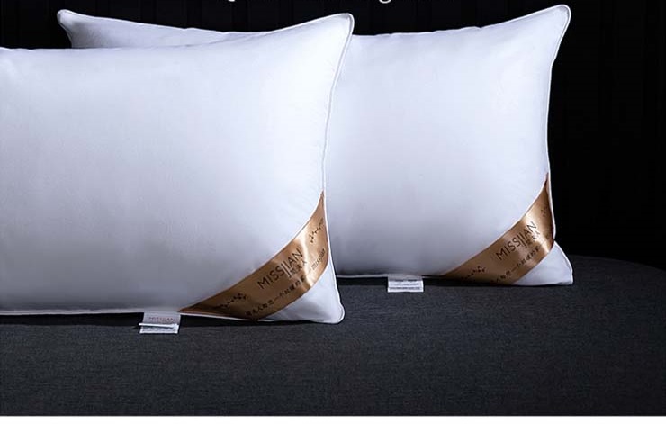 Hotel goose down pillow